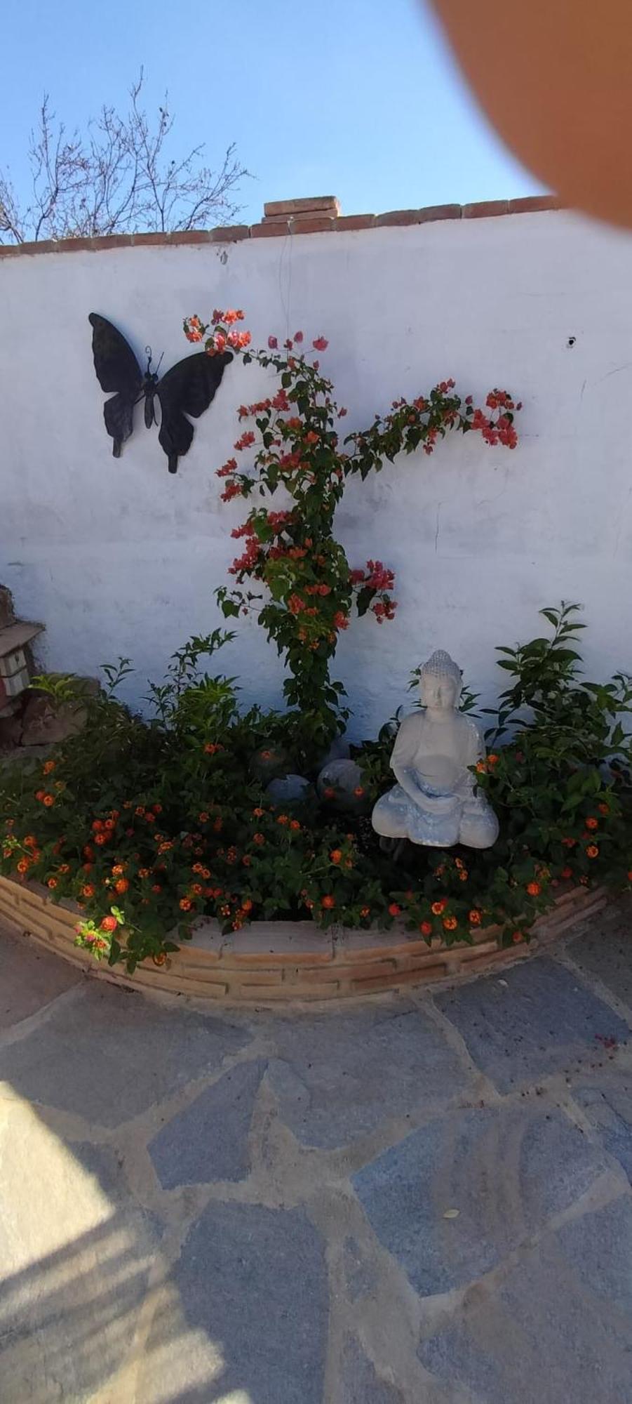 Casa Ceratonia Bed & Breakfast Alora Exterior photo